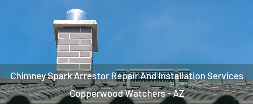 Chimney Spark Arrestor Repair And Installation Services Copperwood Watchers - AZ