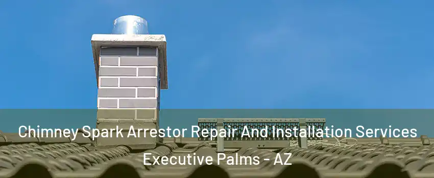 Chimney Spark Arrestor Repair And Installation Services Executive Palms - AZ