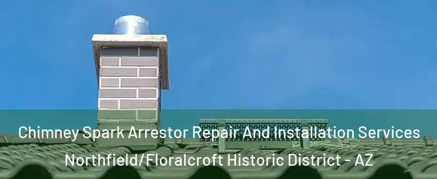 Chimney Spark Arrestor Repair And Installation Services Northfield/Floralcroft Historic District - AZ