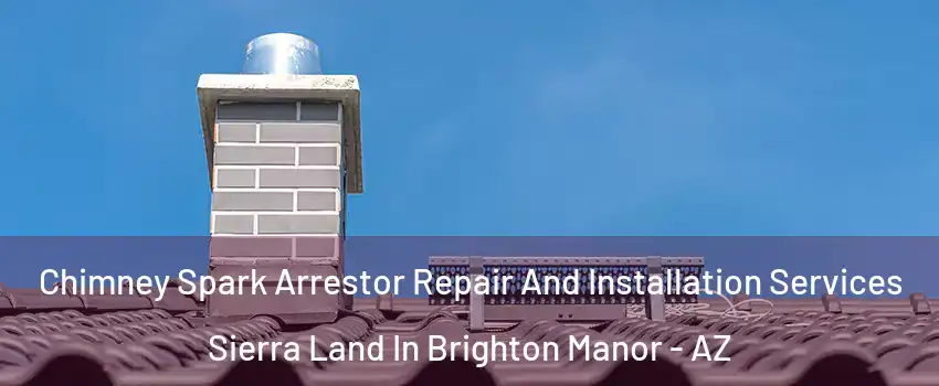 Chimney Spark Arrestor Repair And Installation Services Sierra Land In Brighton Manor - AZ