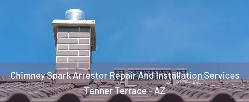 Chimney Spark Arrestor Repair And Installation Services Tanner Terrace - AZ