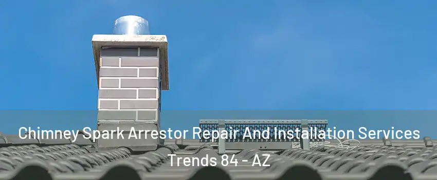 Chimney Spark Arrestor Repair And Installation Services Trends 84 - AZ
