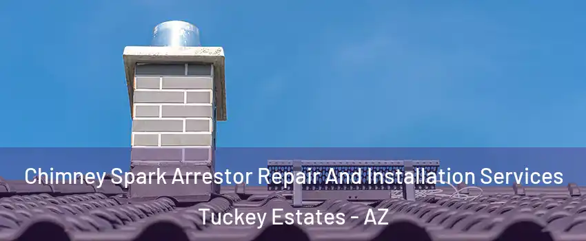 Chimney Spark Arrestor Repair And Installation Services Tuckey Estates - AZ