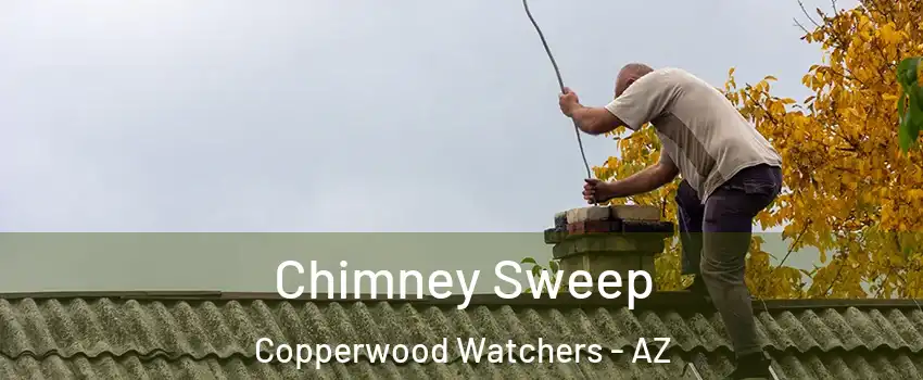 Chimney Sweep Copperwood Watchers - AZ