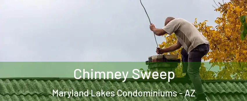 Chimney Sweep Maryland Lakes Condominiums - AZ