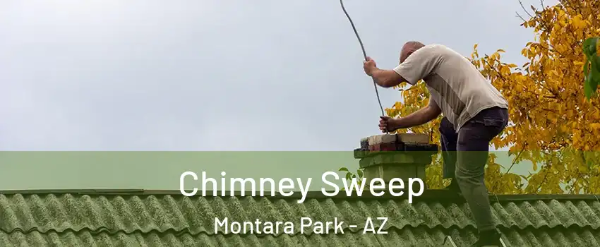 Chimney Sweep Montara Park - AZ