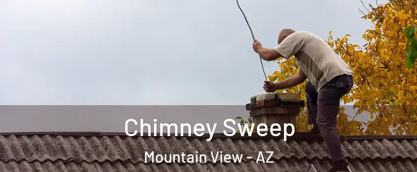 Chimney Sweep Mountain View - AZ