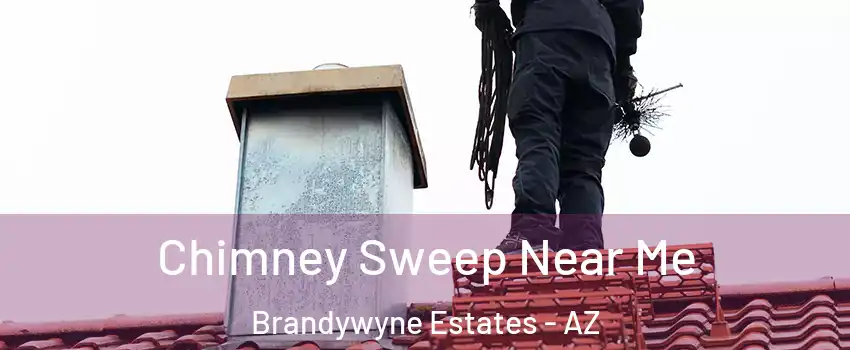 Chimney Sweep Near Me Brandywyne Estates - AZ