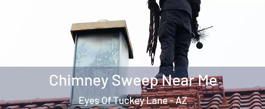 Chimney Sweep Near Me Eyes Of Tuckey Lane - AZ