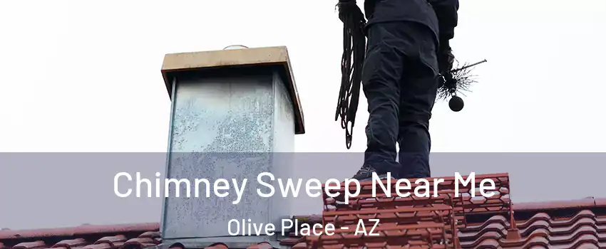 Chimney Sweep Near Me Olive Place - AZ