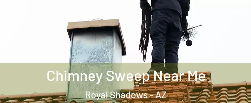 Chimney Sweep Near Me Royal Shadows - AZ