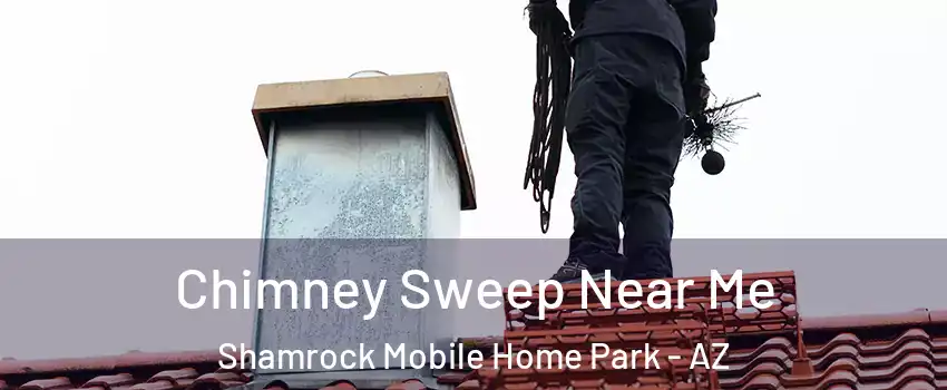 Chimney Sweep Near Me Shamrock Mobile Home Park - AZ