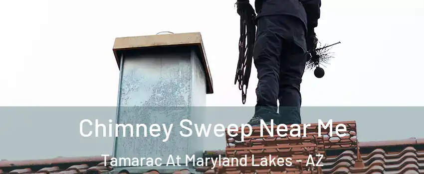 Chimney Sweep Near Me Tamarac At Maryland Lakes - AZ