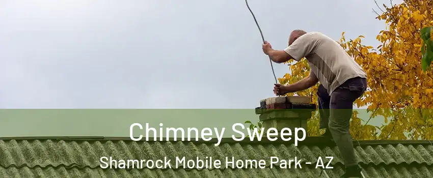 Chimney Sweep Shamrock Mobile Home Park - AZ