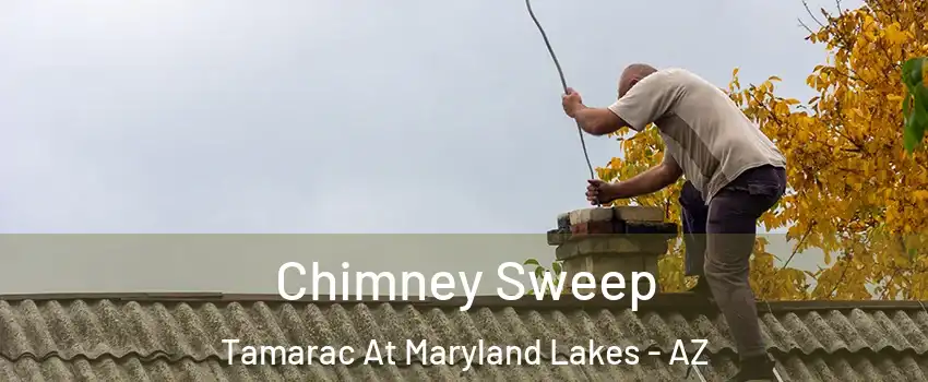 Chimney Sweep Tamarac At Maryland Lakes - AZ
