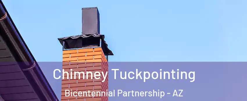 Chimney Tuckpointing Bicentennial Partnership - AZ