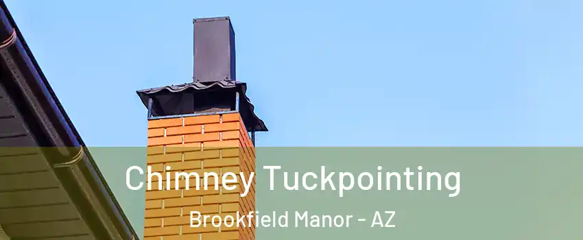 Chimney Tuckpointing Brookfield Manor - AZ