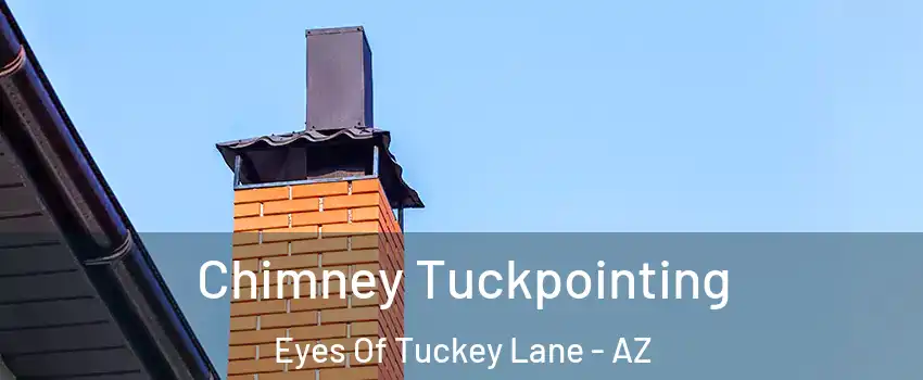 Chimney Tuckpointing Eyes Of Tuckey Lane - AZ