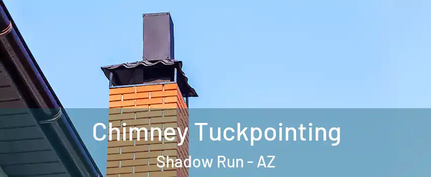 Chimney Tuckpointing Shadow Run - AZ