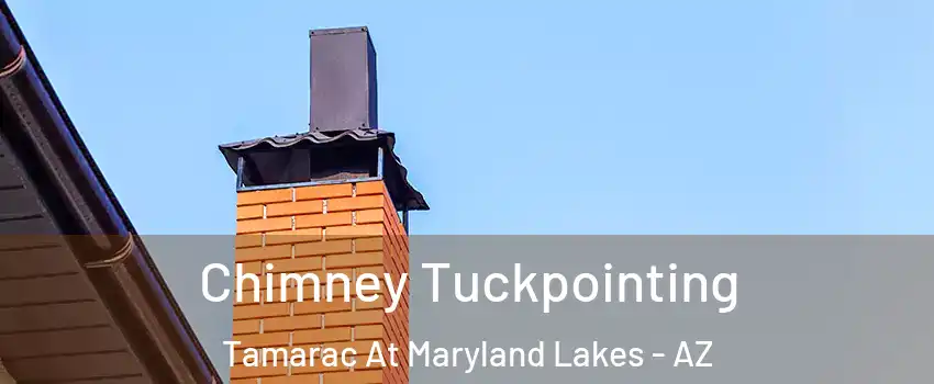Chimney Tuckpointing Tamarac At Maryland Lakes - AZ