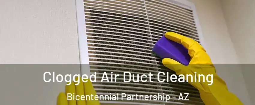 Clogged Air Duct Cleaning Bicentennial Partnership - AZ