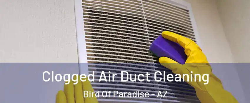 Clogged Air Duct Cleaning Bird Of Paradise - AZ
