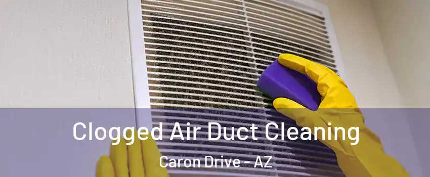 Clogged Air Duct Cleaning Caron Drive - AZ