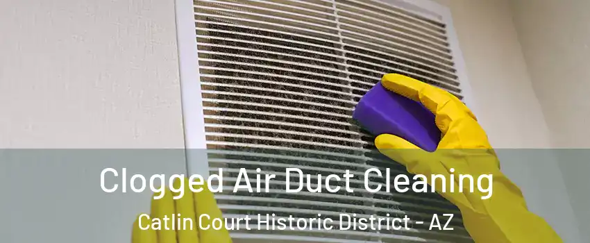 Clogged Air Duct Cleaning Catlin Court Historic District - AZ