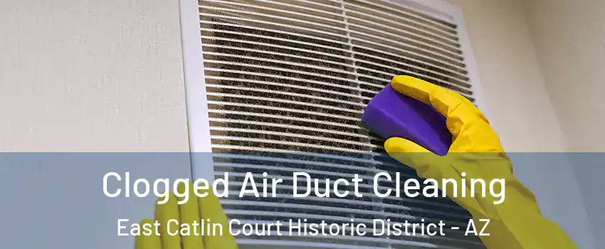 Clogged Air Duct Cleaning East Catlin Court Historic District - AZ