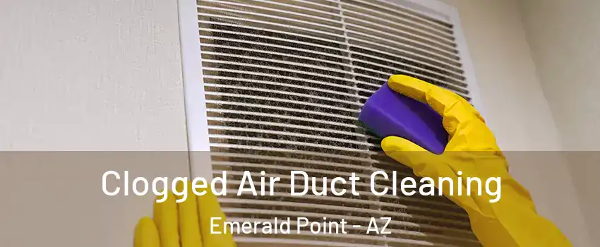 Clogged Air Duct Cleaning Emerald Point - AZ