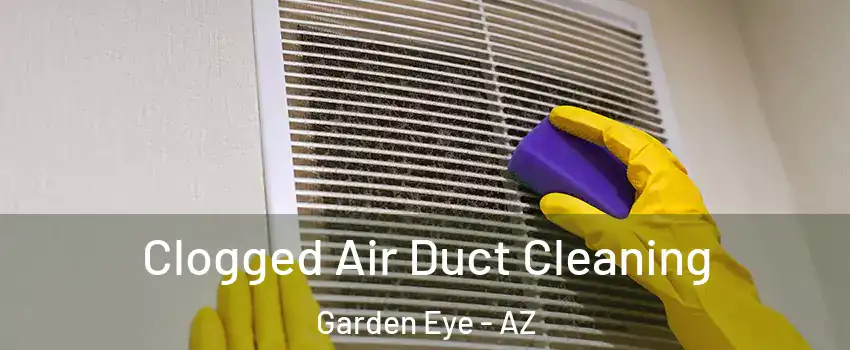 Clogged Air Duct Cleaning Garden Eye - AZ