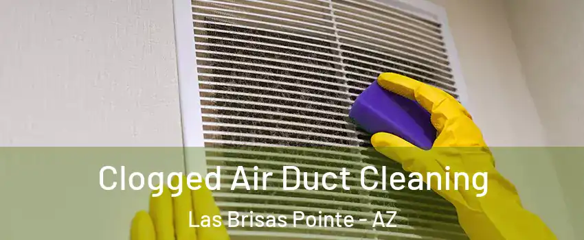 Clogged Air Duct Cleaning Las Brisas Pointe - AZ