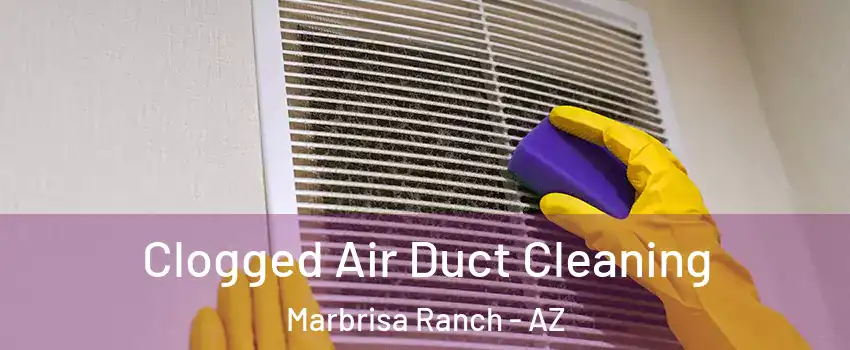 Clogged Air Duct Cleaning Marbrisa Ranch - AZ