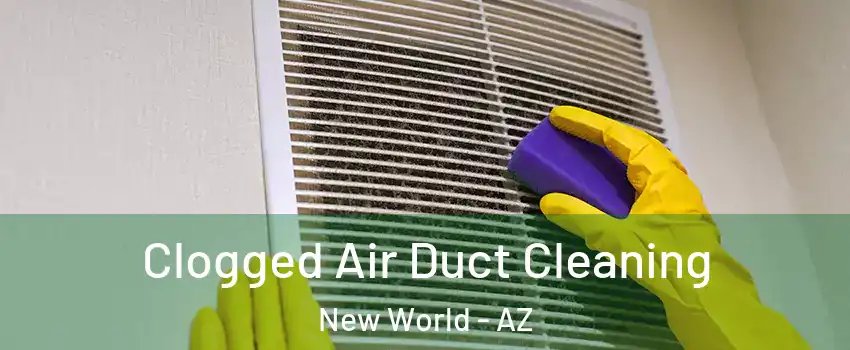 Clogged Air Duct Cleaning New World - AZ