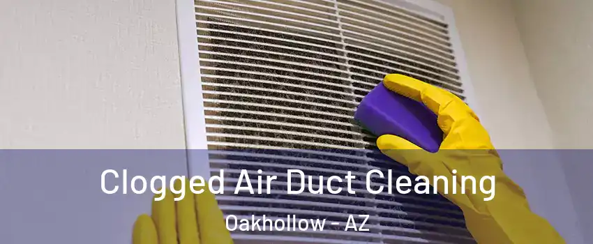 Clogged Air Duct Cleaning Oakhollow - AZ