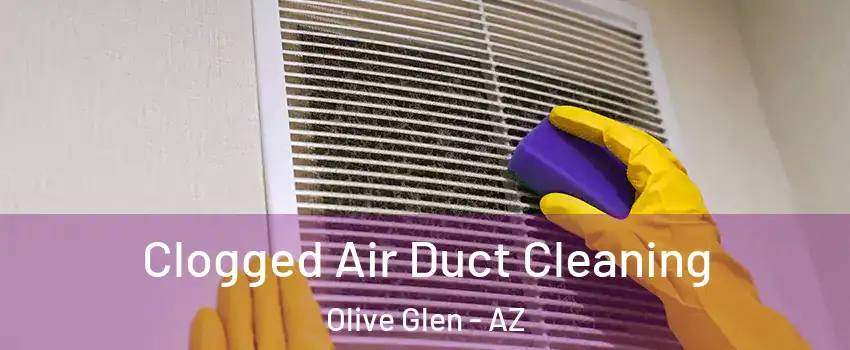 Clogged Air Duct Cleaning Olive Glen - AZ