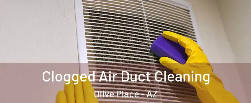Clogged Air Duct Cleaning Olive Place - AZ