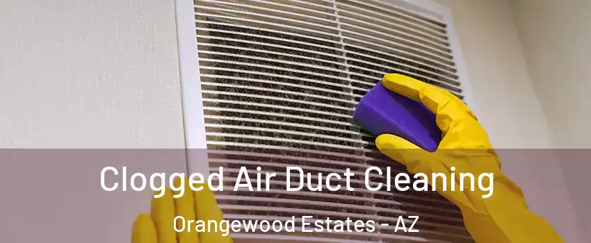 Clogged Air Duct Cleaning Orangewood Estates - AZ