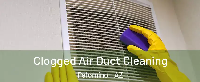 Clogged Air Duct Cleaning Palomino - AZ