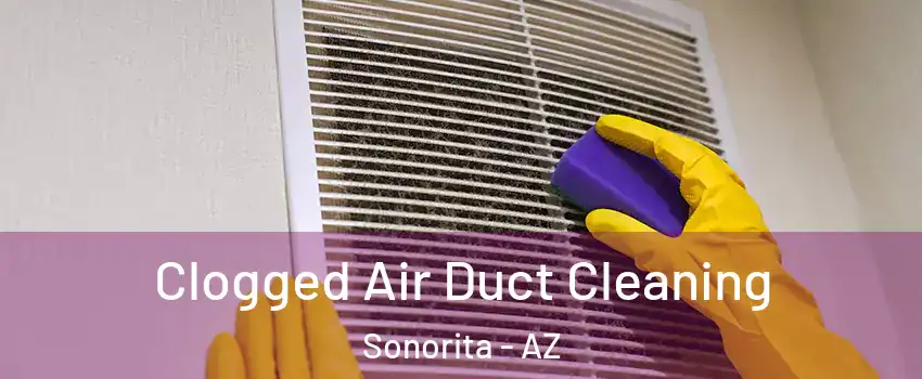 Clogged Air Duct Cleaning Sonorita - AZ