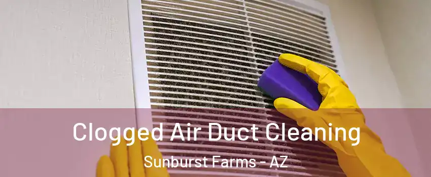Clogged Air Duct Cleaning Sunburst Farms - AZ