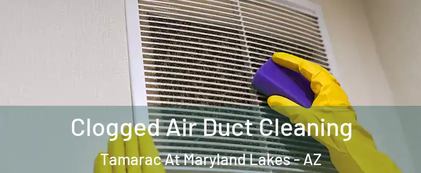 Clogged Air Duct Cleaning Tamarac At Maryland Lakes - AZ