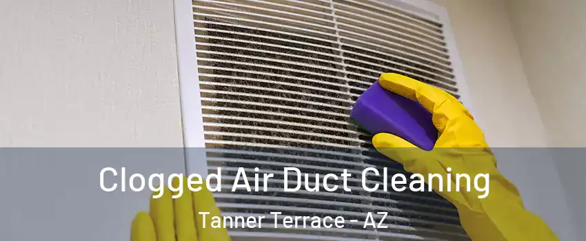 Clogged Air Duct Cleaning Tanner Terrace - AZ
