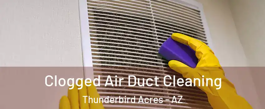 Clogged Air Duct Cleaning Thunderbird Acres - AZ