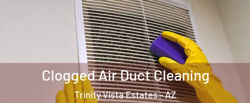 Clogged Air Duct Cleaning Trinity Vista Estates - AZ