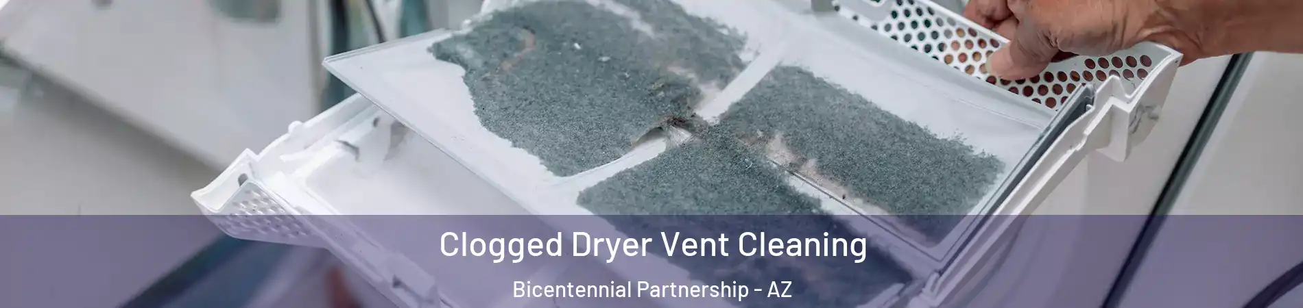 Clogged Dryer Vent Cleaning Bicentennial Partnership - AZ