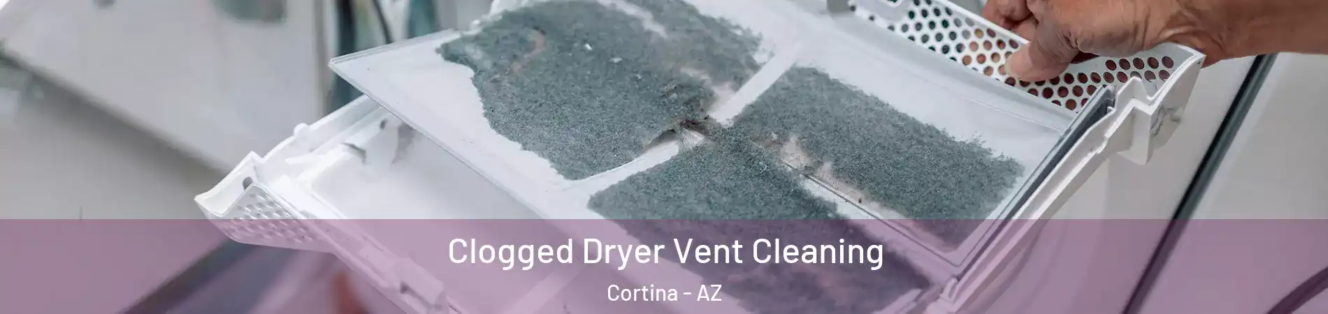 Clogged Dryer Vent Cleaning Cortina - AZ