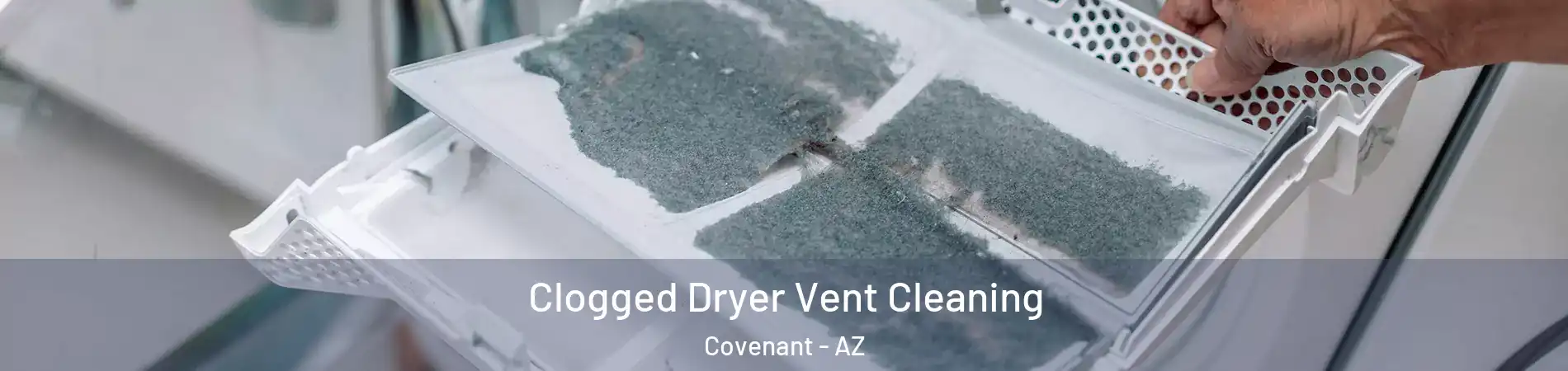 Clogged Dryer Vent Cleaning Covenant - AZ