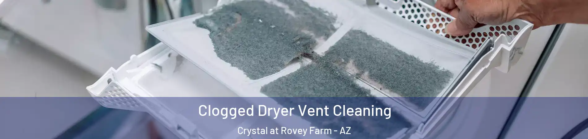Clogged Dryer Vent Cleaning Crystal at Rovey Farm - AZ