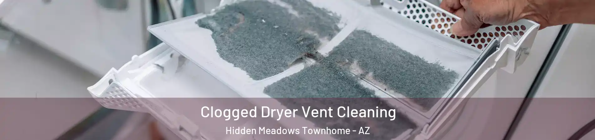Clogged Dryer Vent Cleaning Hidden Meadows Townhome - AZ
